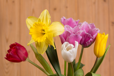 Similar image 2160663