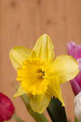 Similar image 2160665