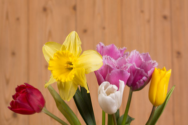 Similar image 2160666