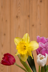 Similar image 2160667