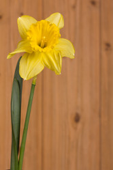 Similar image 2160669