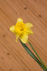 Similar image 2160670