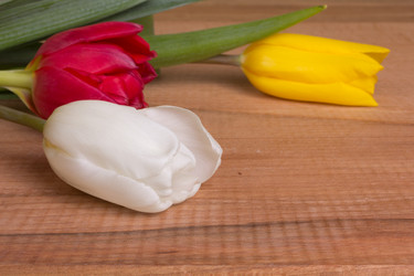 Similar image 2160678