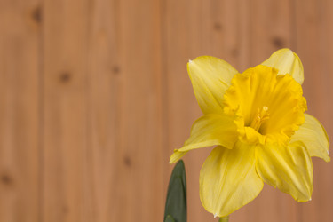 Similar image 2160681