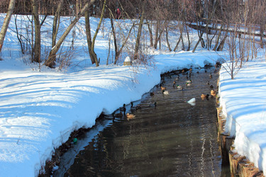 Similar image 2160748