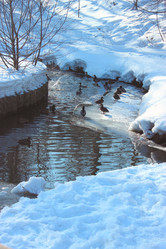 Similar image 2160750