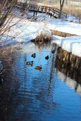 Similar image 2160753