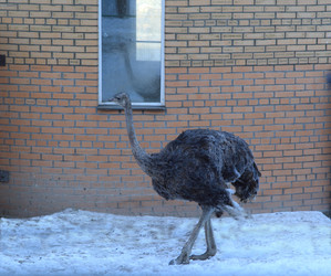 Similar image 2160767