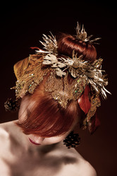 Similar image 2160768