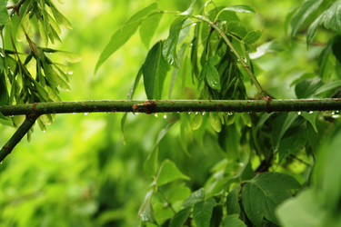 Similar image 2161021