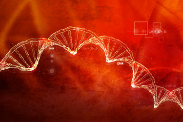 Similar image 2161066