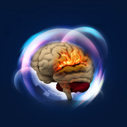 Similar image 2161113