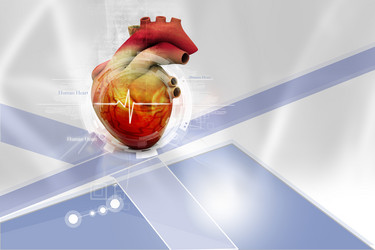 Similar image 2161117