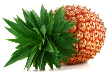 Similar image 2161176