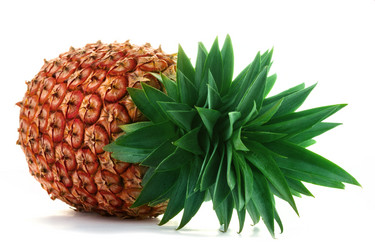 Similar image 2161179