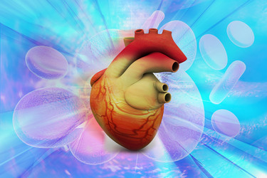 Similar image 2161181