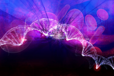 Similar image 2161183