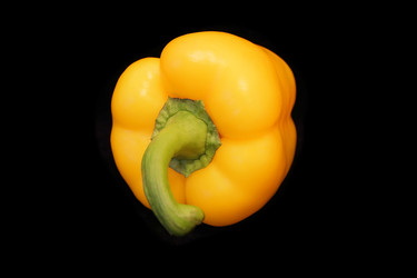 Similar image 2161243