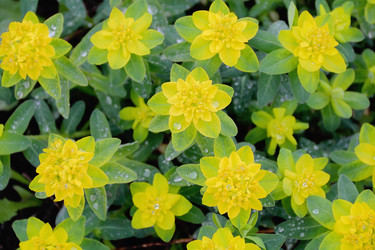 Similar image 2161266