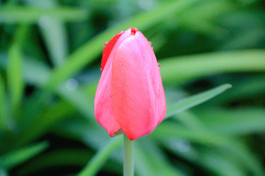 Similar image 2161270