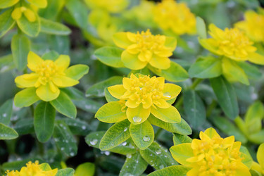 Similar image 2161274