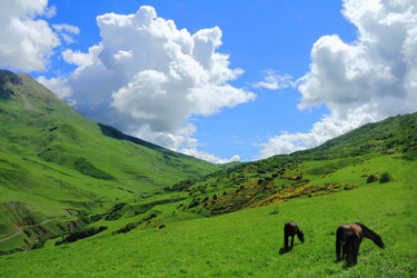 Similar image 2161275