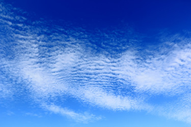 Similar image 2161281