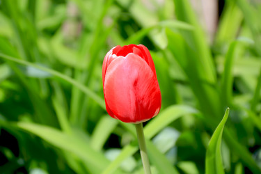 Similar image 2161307