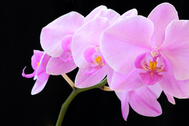 Similar image 2161312