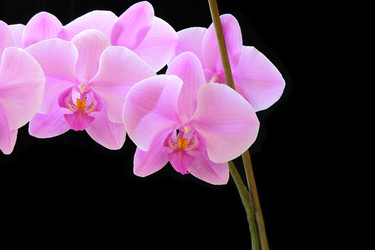 Similar image 2161314