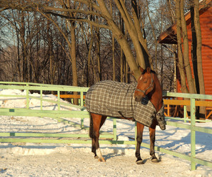 Similar image 2161316