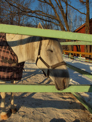 Similar image 2161317