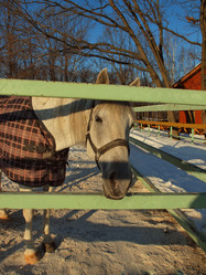 Similar image 2161318