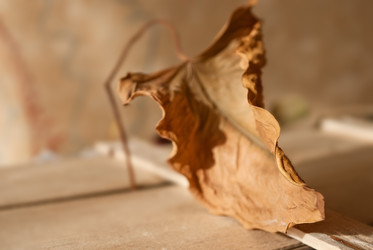 Similar image 2161374