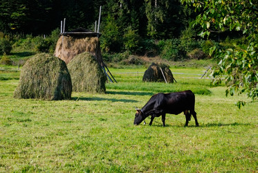 Similar image 2161390