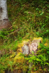 Similar image 2161398