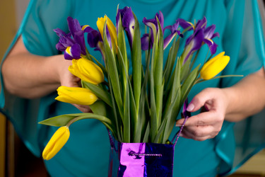 Similar image 2161555