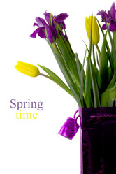 Similar image 2161580