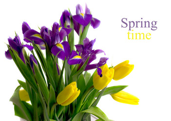 Similar image 2161583