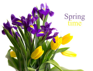 Similar image 2161585