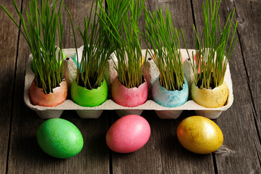 Similar image 2161689