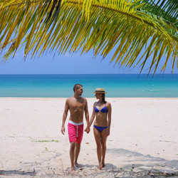 Similar image 2161773