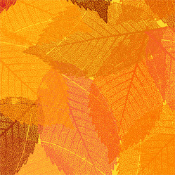 Similar image 2162203