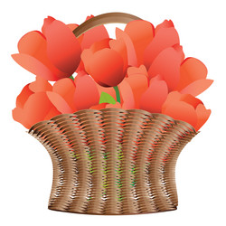 Similar image 2162444