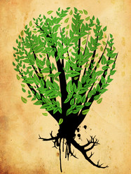 Similar image 2162480