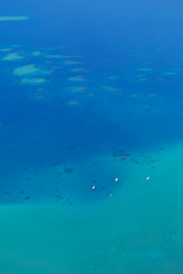 Similar image 2162756