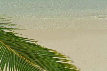 Similar image 2162775