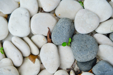 Similar image 2162787