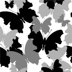 Similar image 2162803