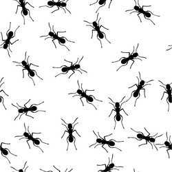 Similar image 2162820